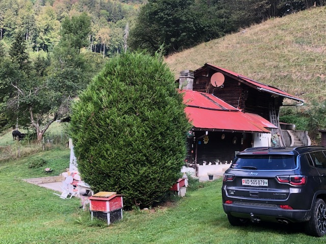 Photo 5