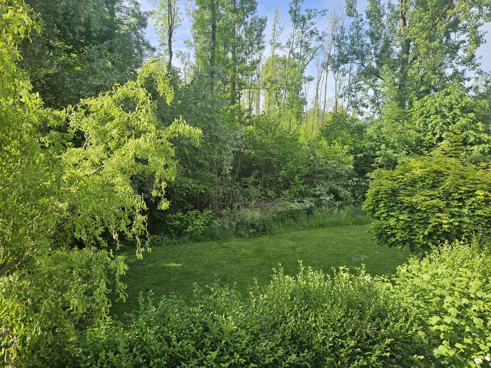 Vue du balcon Vue du balcon