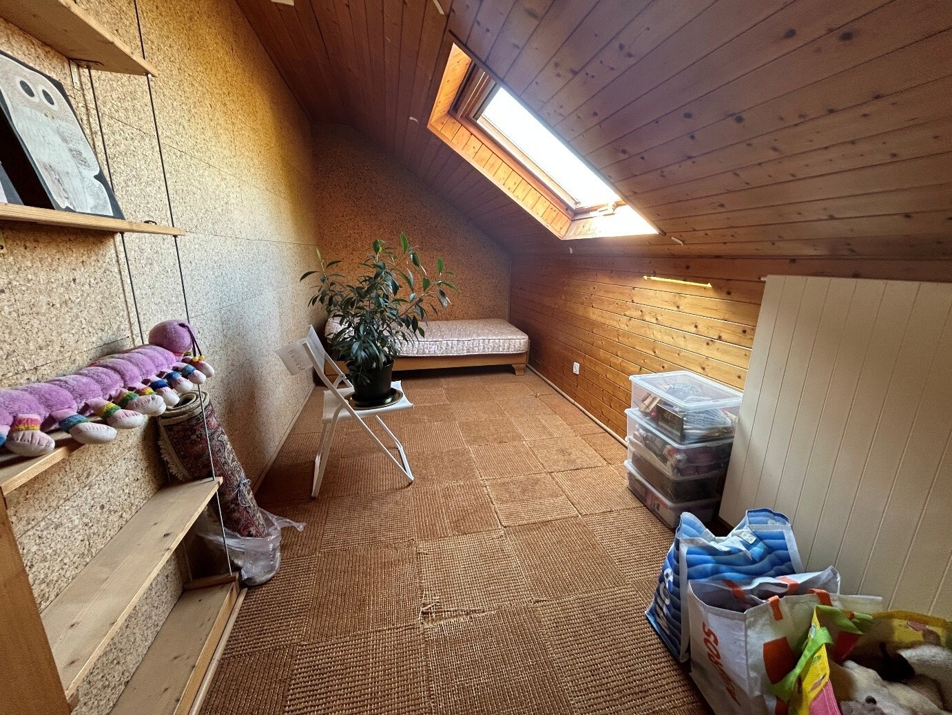 Picture 8