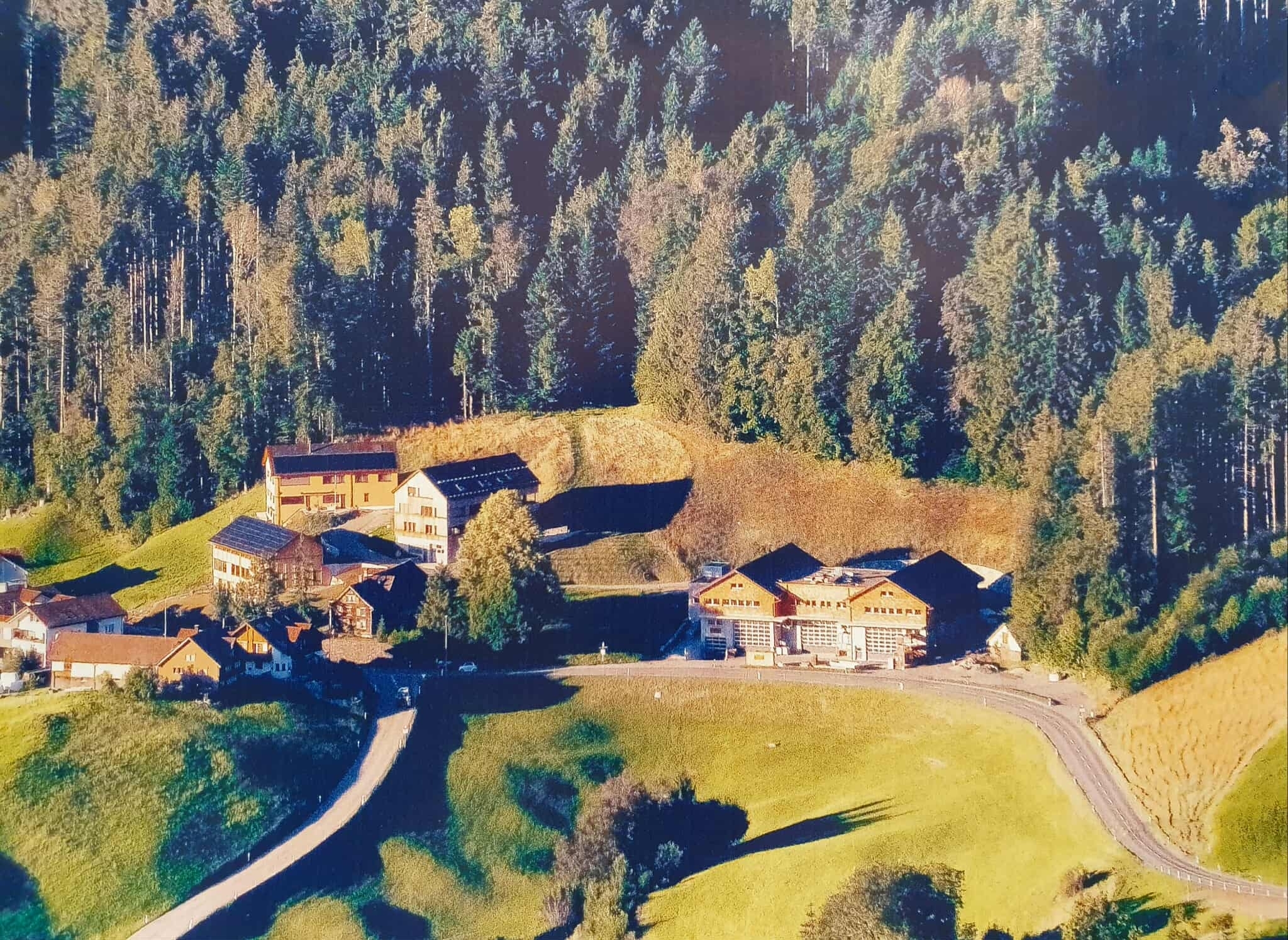 Photo 1