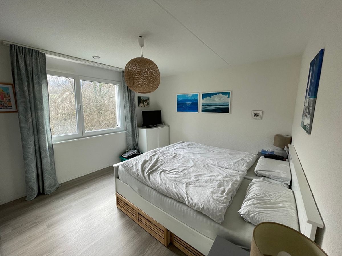 Immagine di copertina 3