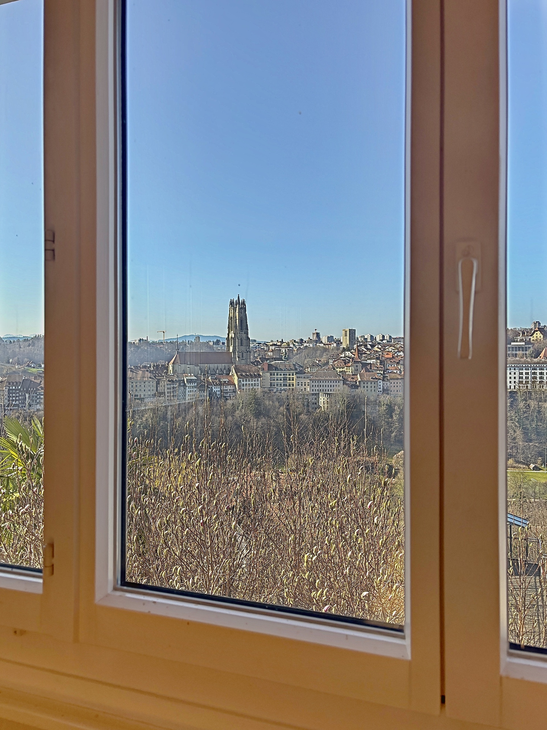 Appartement du 1er étage