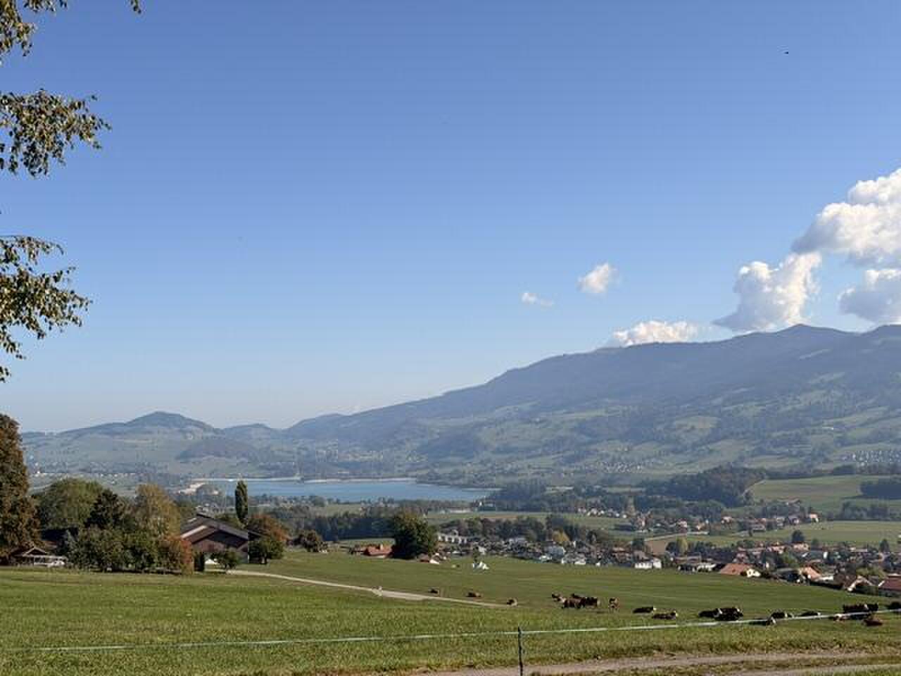 Picture 1