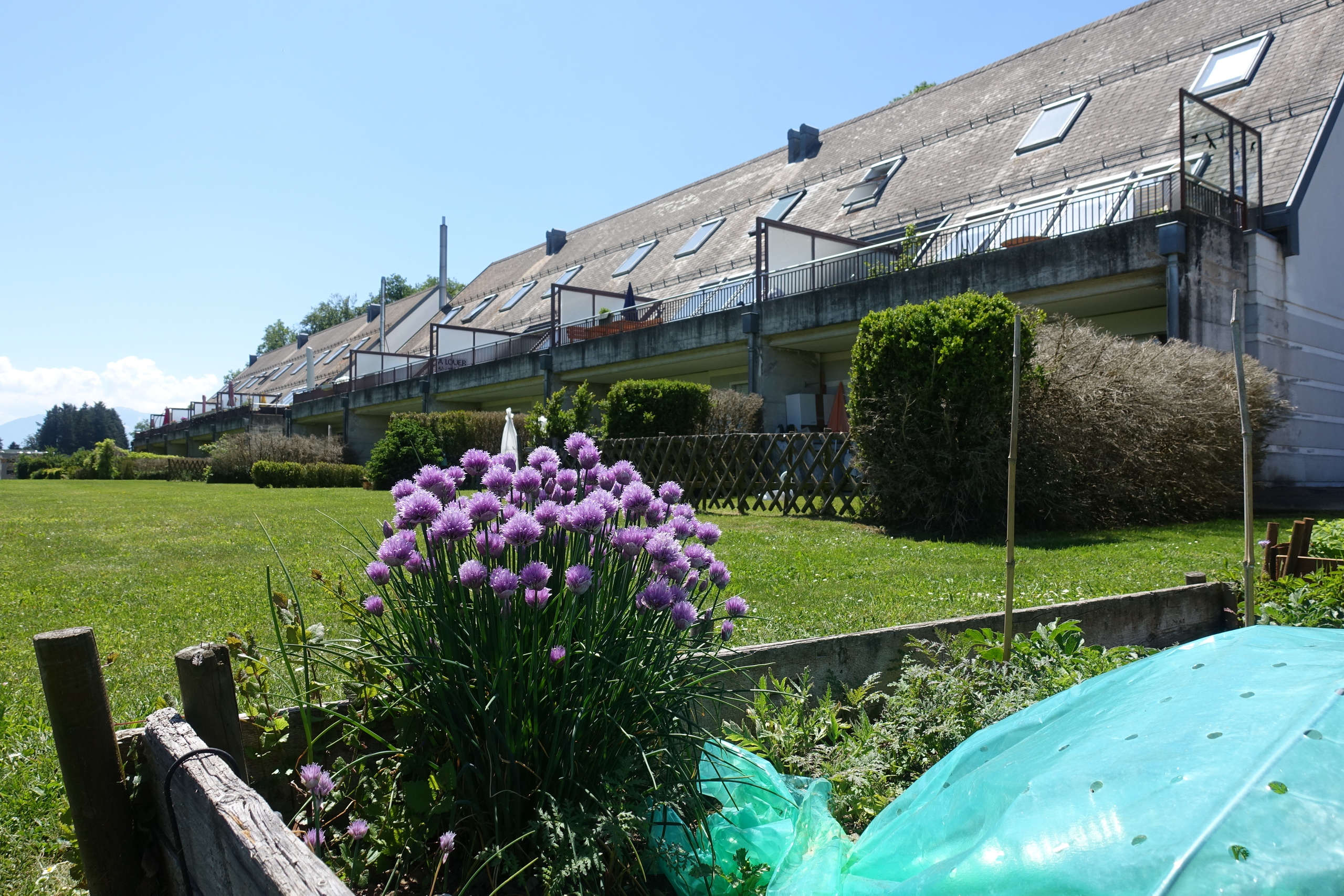immeuble