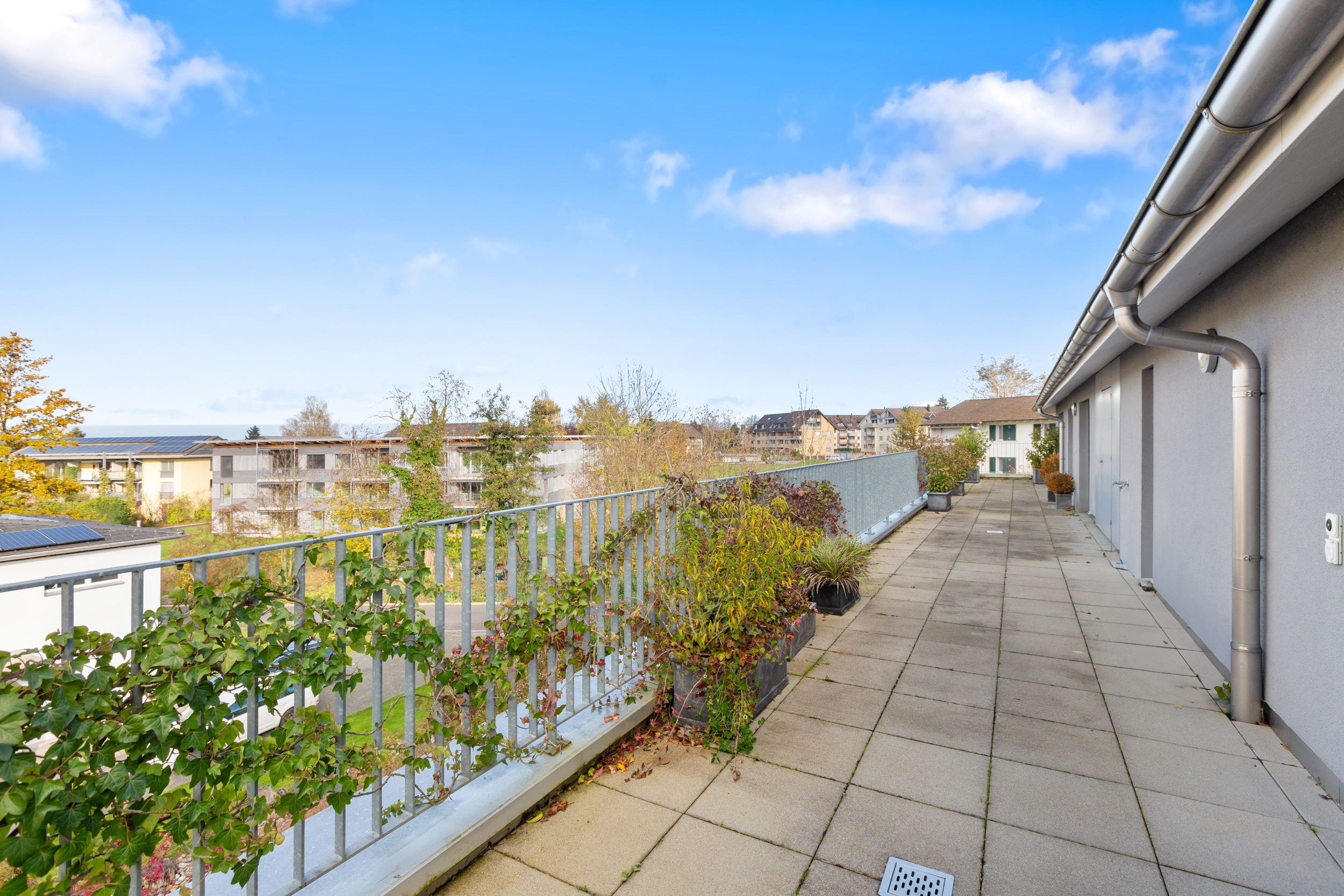 a balcony with plants on the terrace of a home