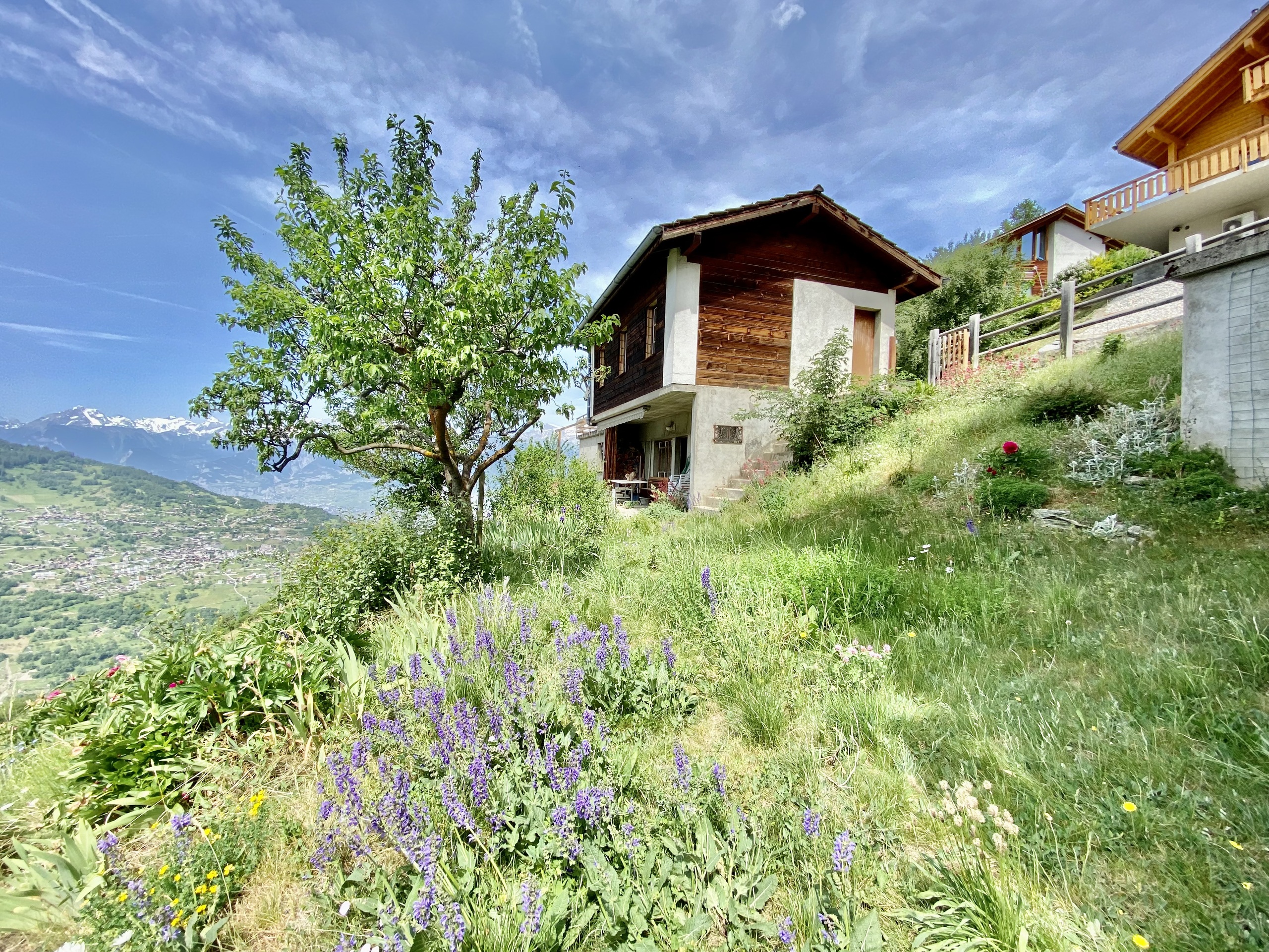 Photo 4