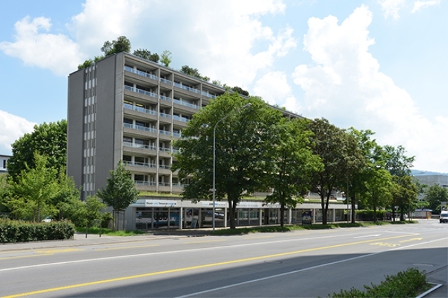 Immagine di copertina