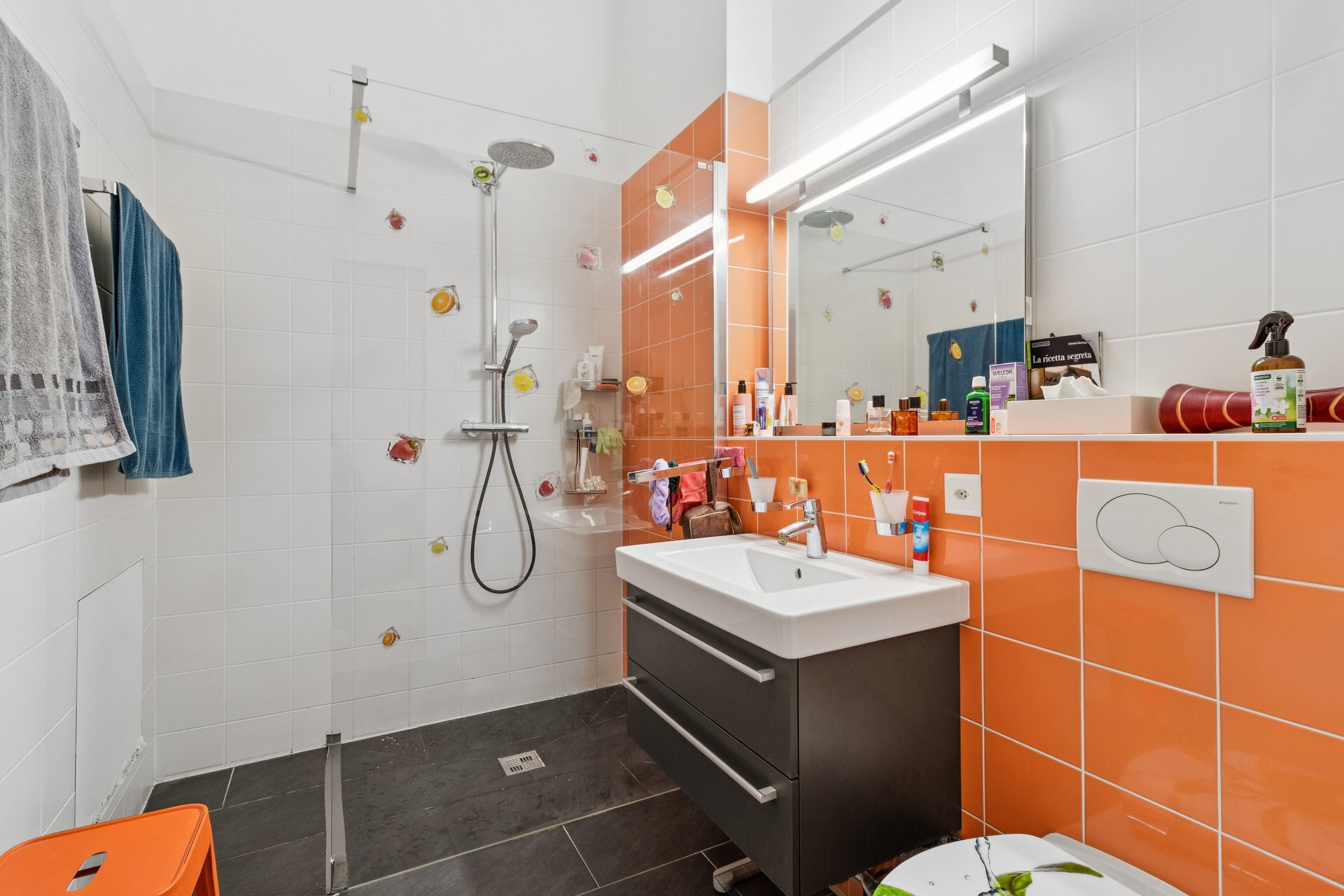 Salle de douche équipée