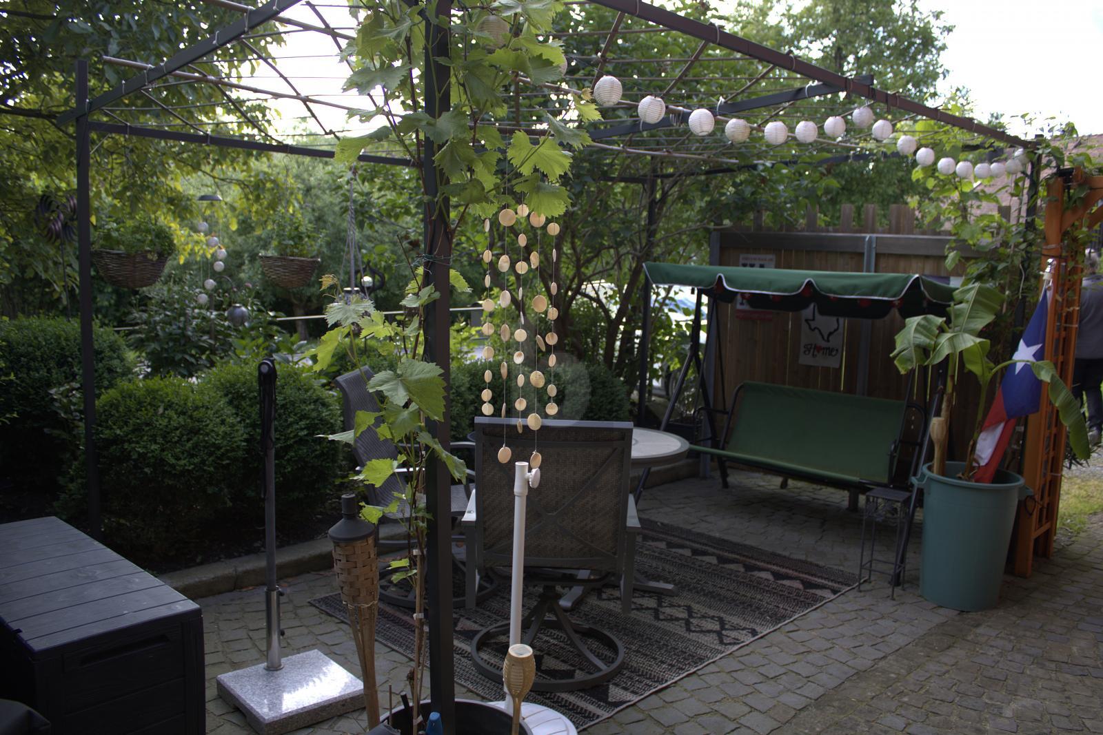 Photo 3