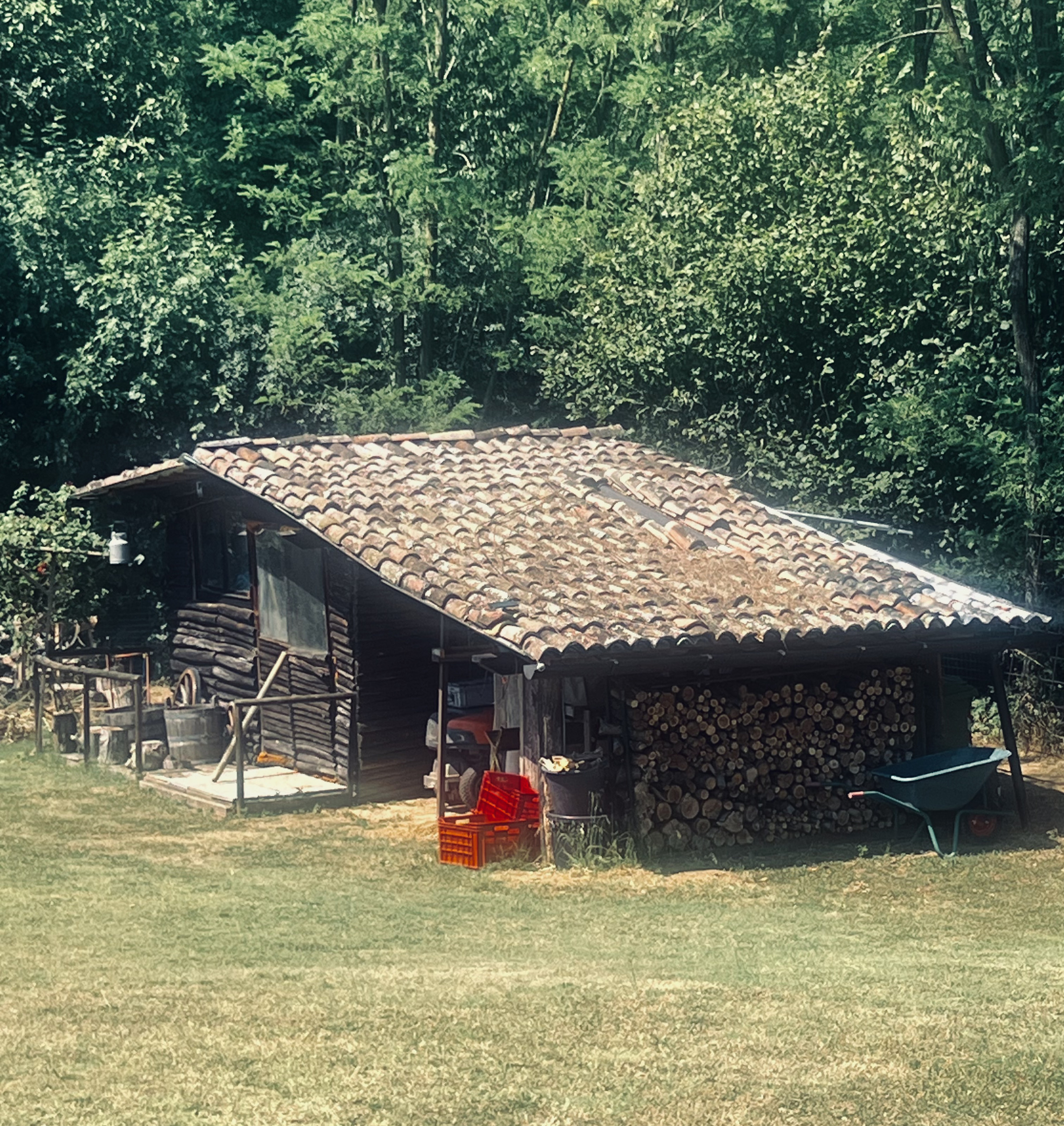 Picture 4