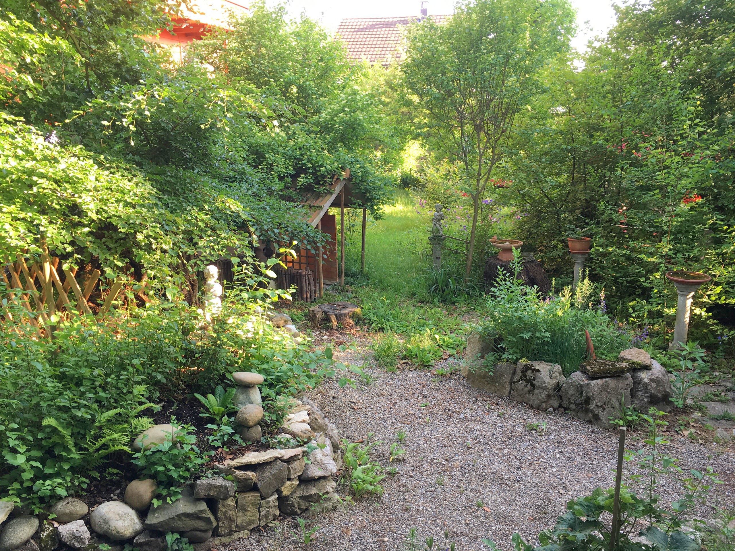 Photo 12