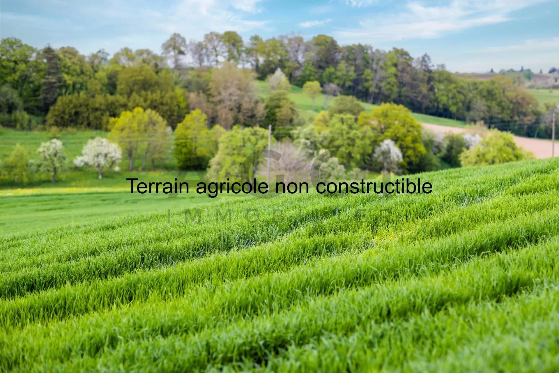 Titelbild