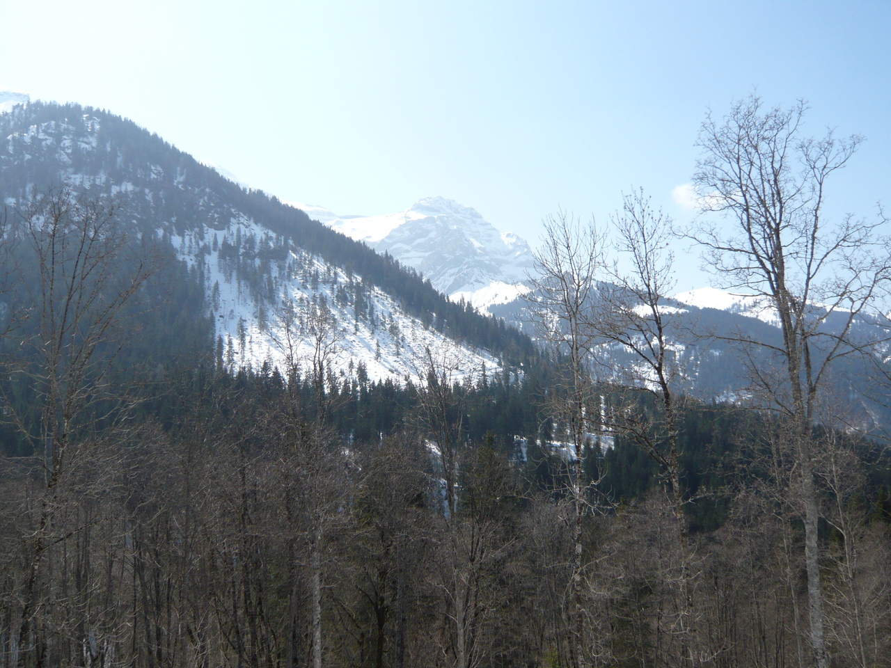vue depuis le chalet vue depuis le chalet
