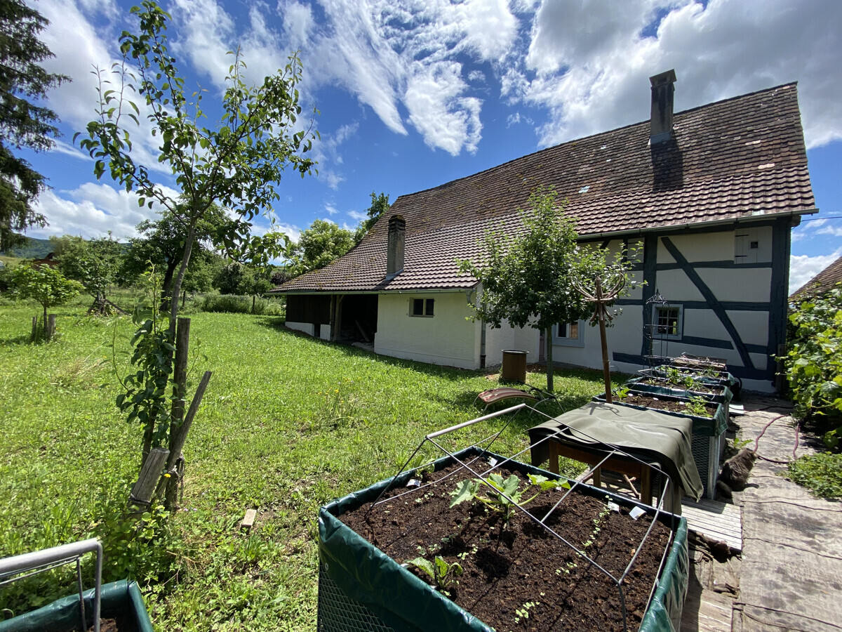 Foto 10