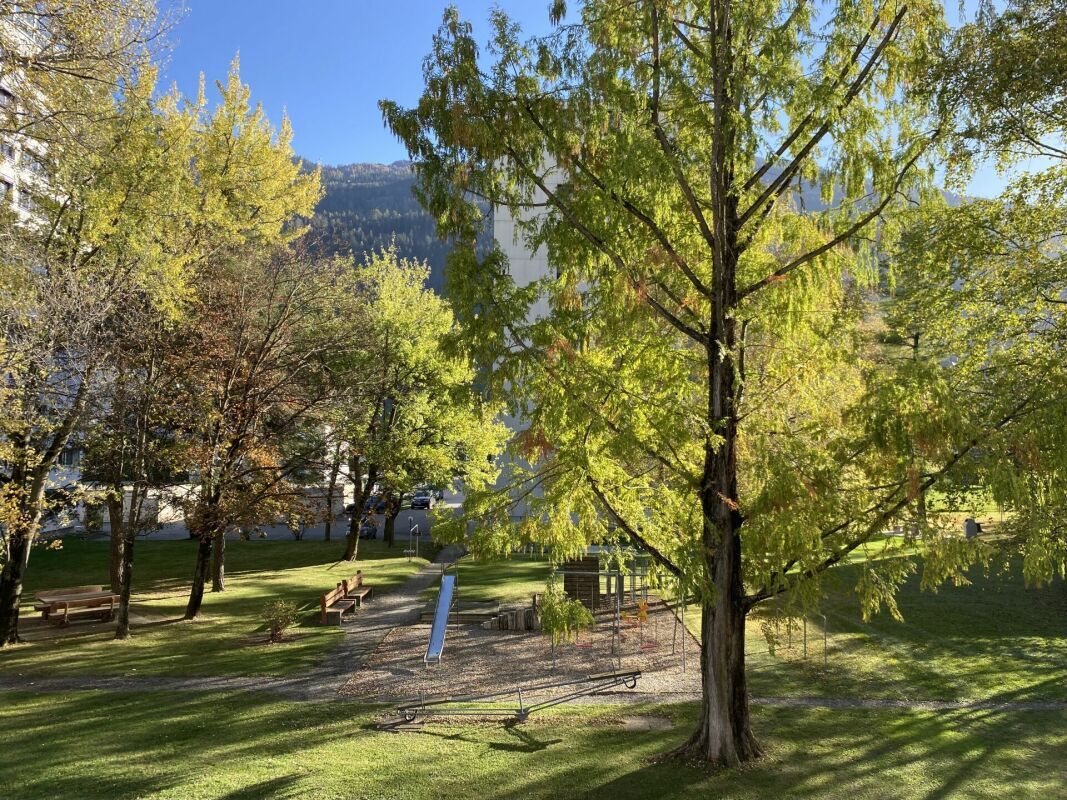 Foto 4