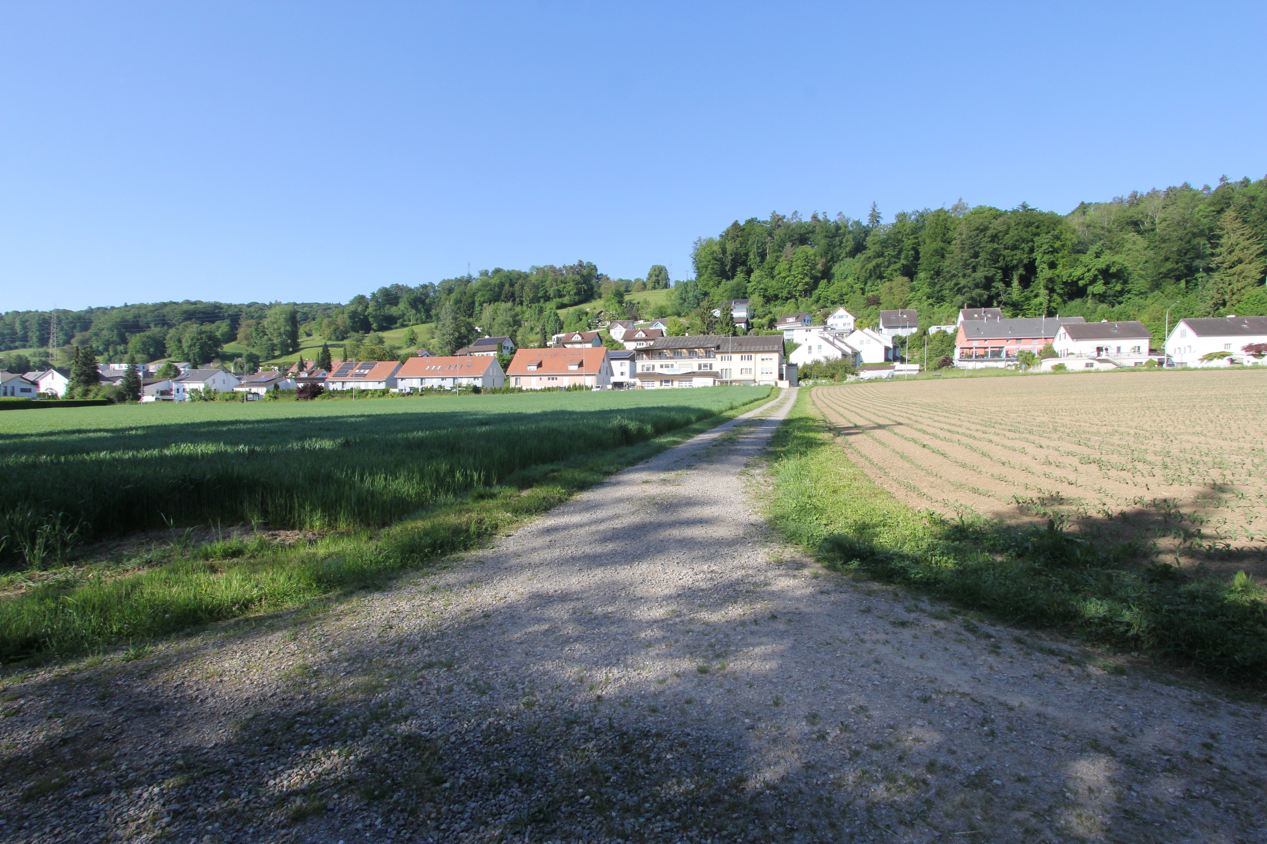 Vue extérieure 10