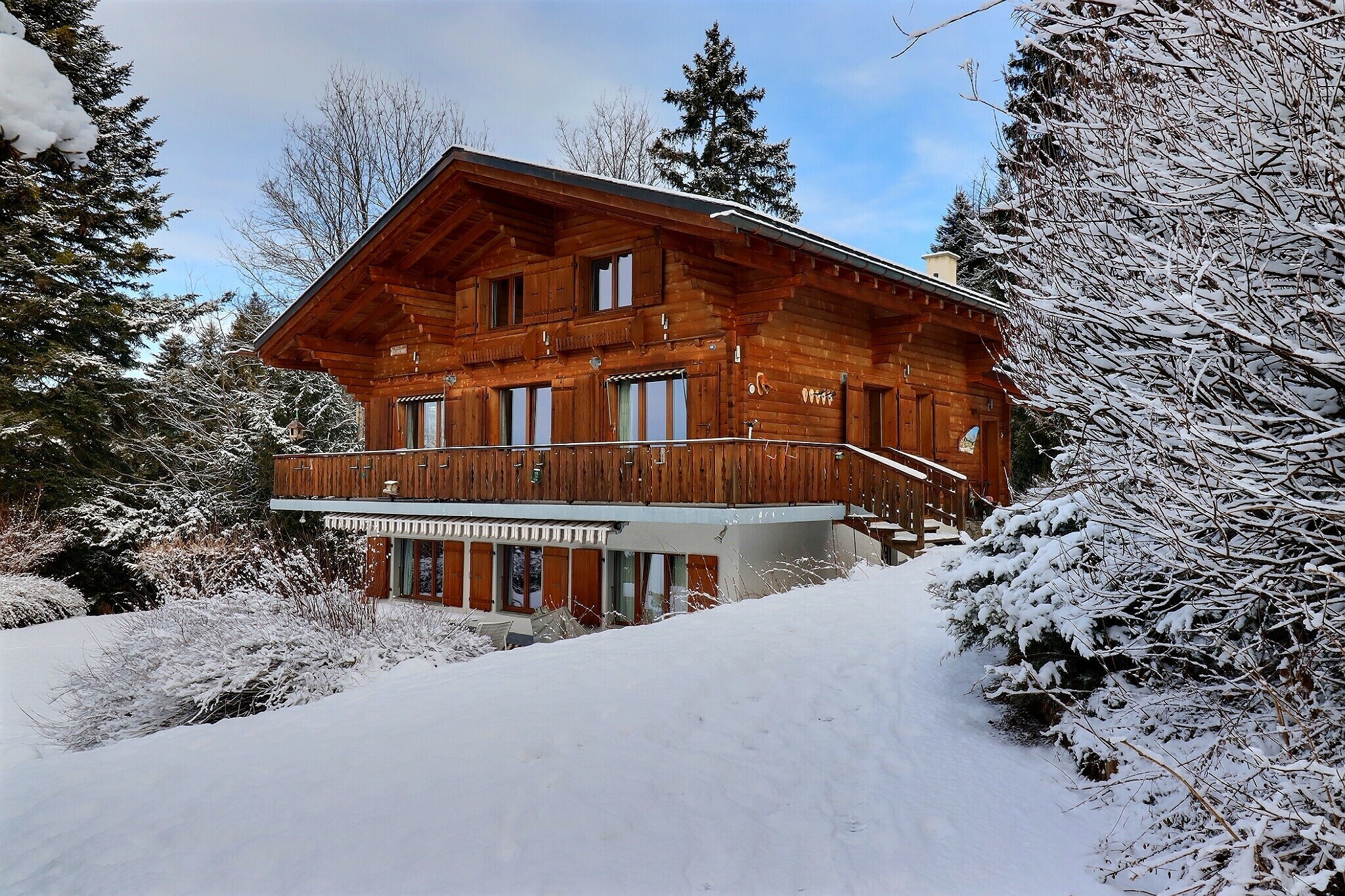 Immagine di copertina