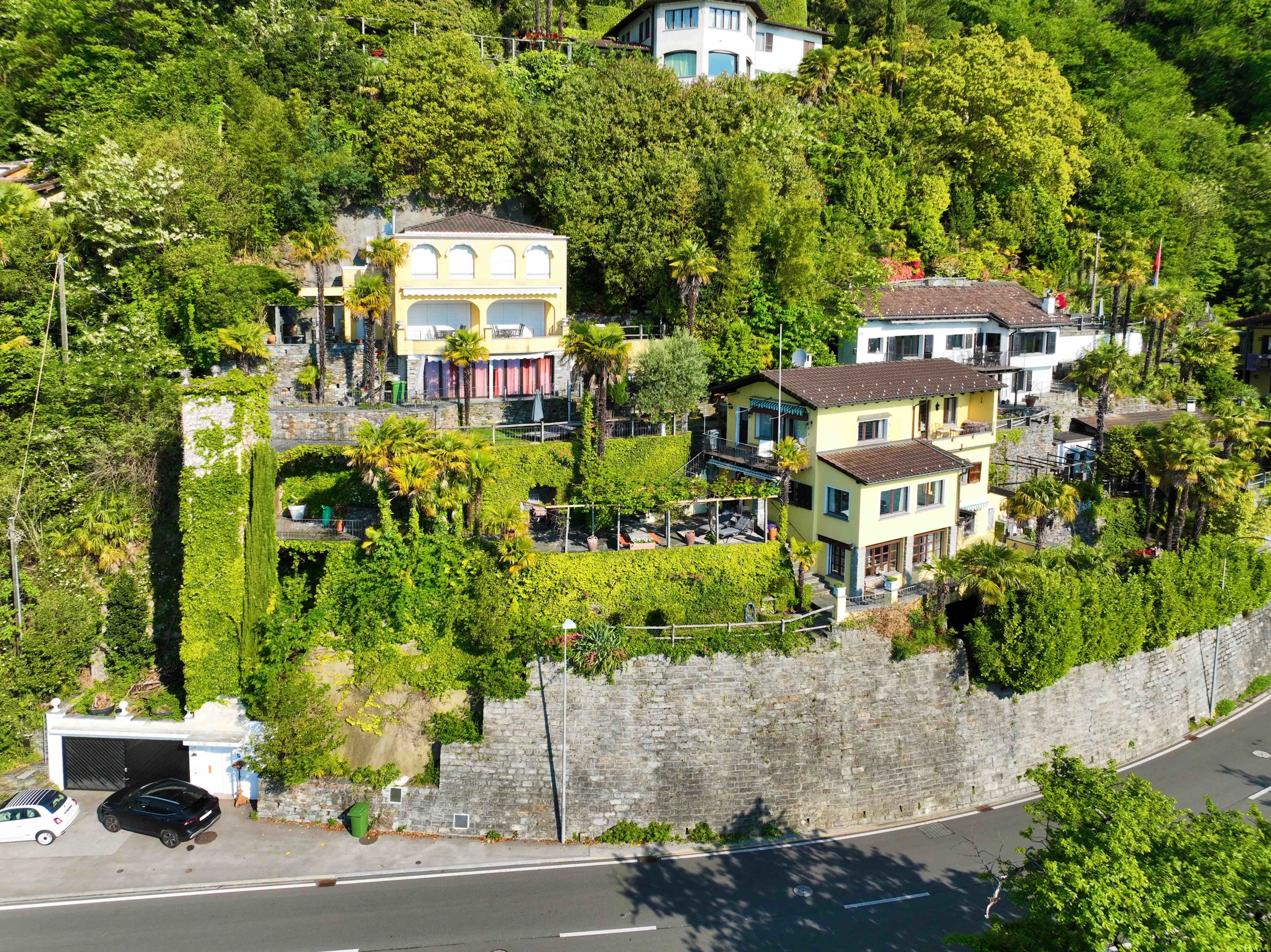 Immagine di copertina