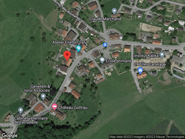 Piantina