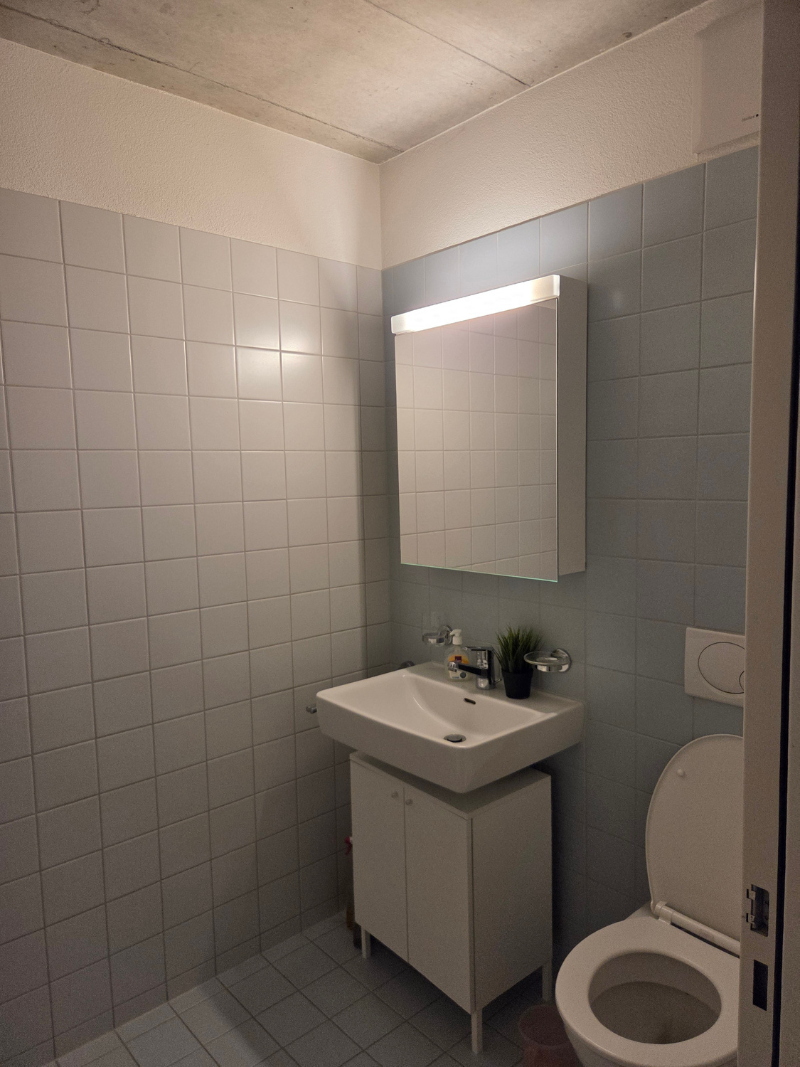 Picture 2