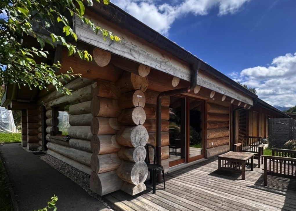 Immagine di copertina