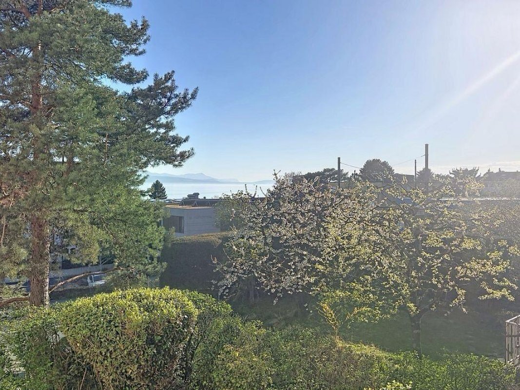 Immagine di copertina 2