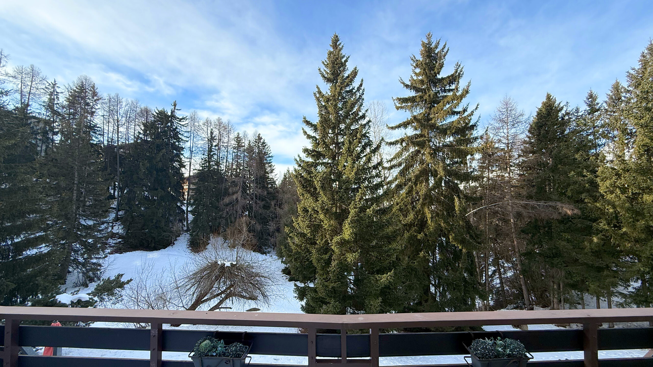 Vue (Sud) depuis le balcon