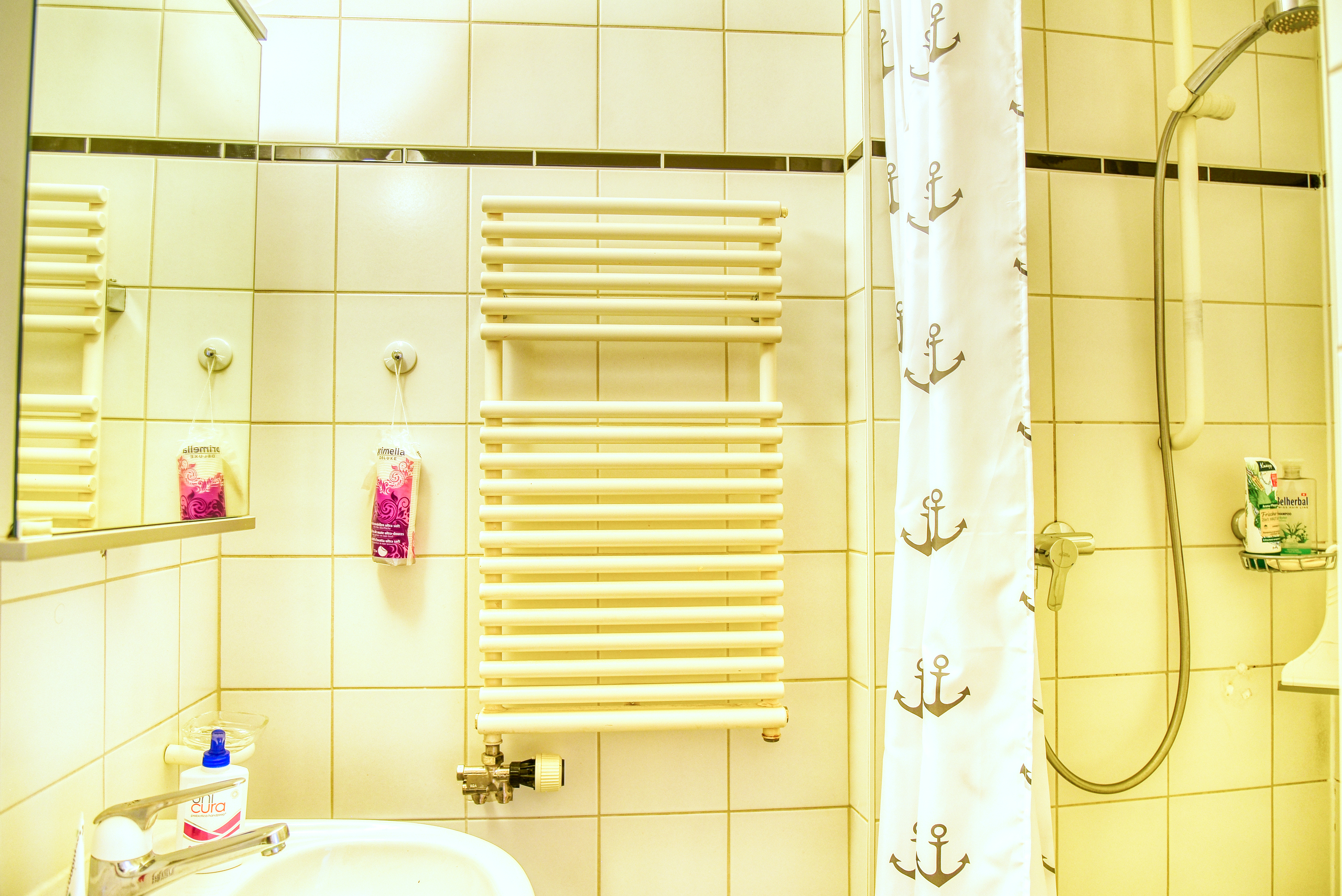 Appartement Sierre - Salle de douche