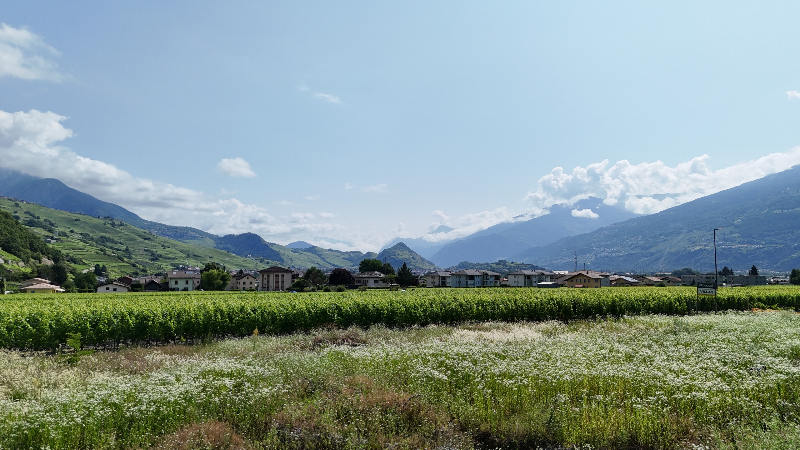 terrain / non-contractuel