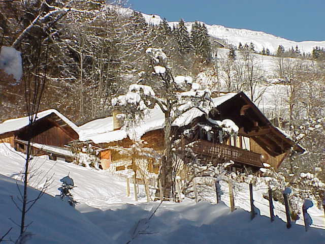 Photo 2