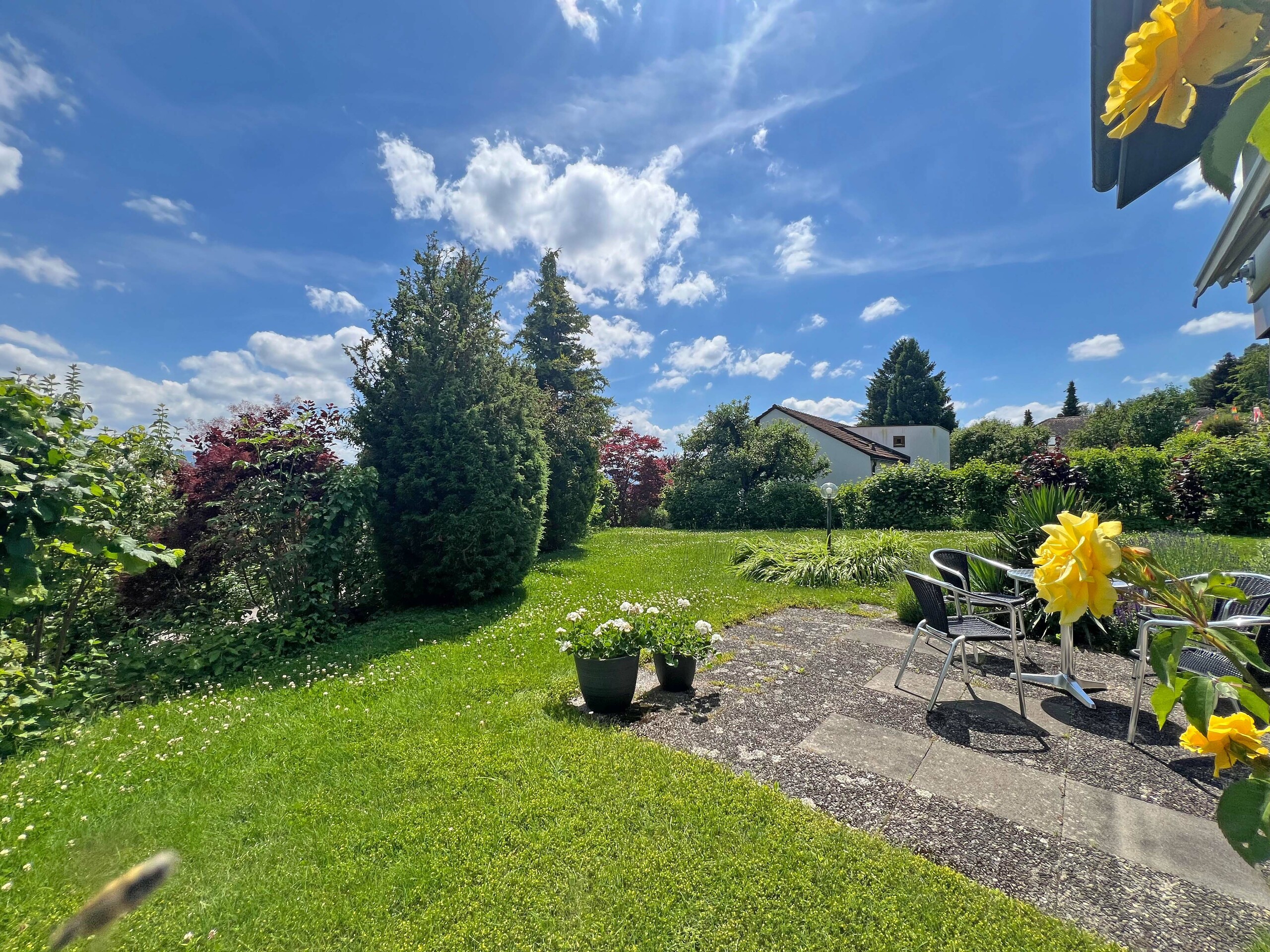 Terrasse sud et jardin