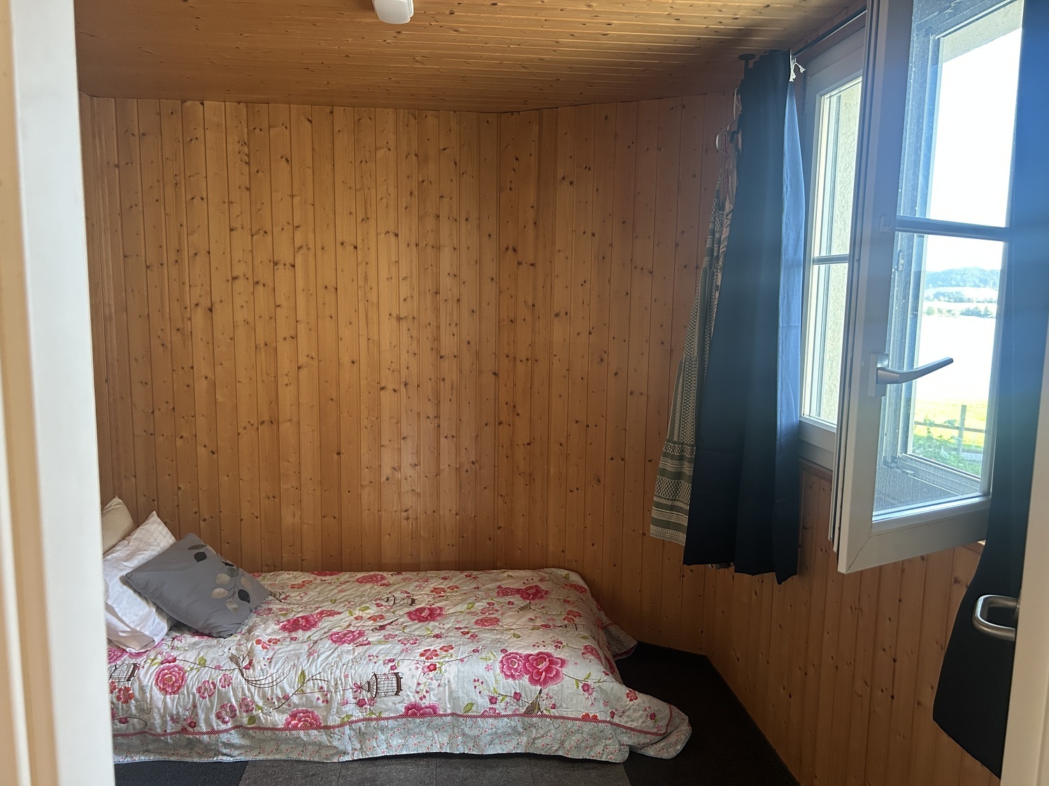 Picture 5