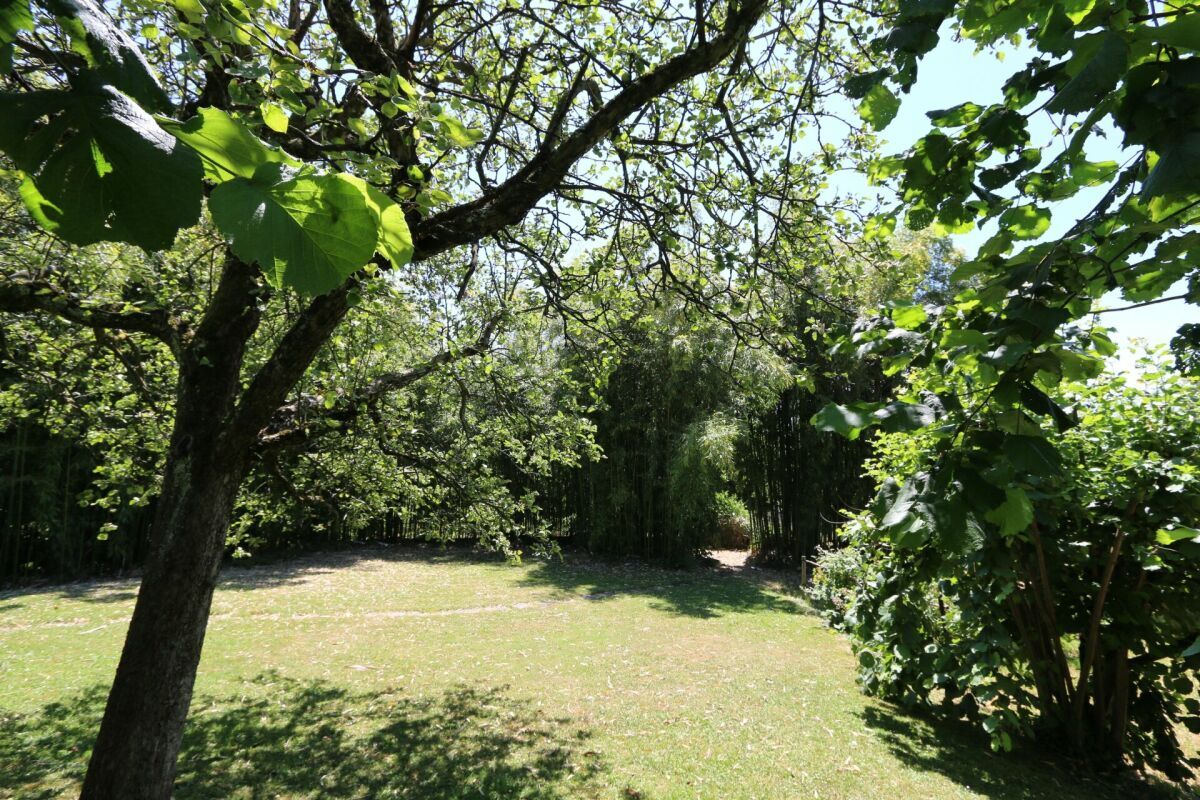 Des espaces verts tout autour de du bâtiment
