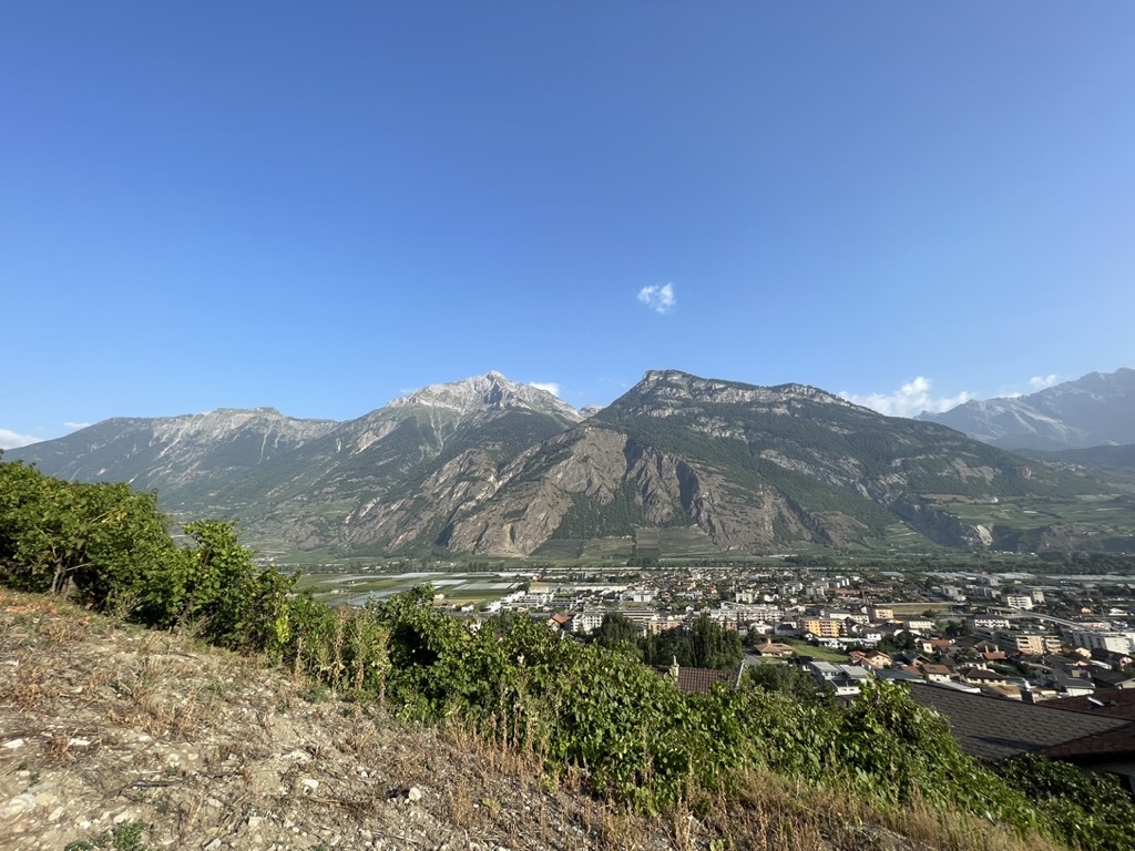 Foto 15