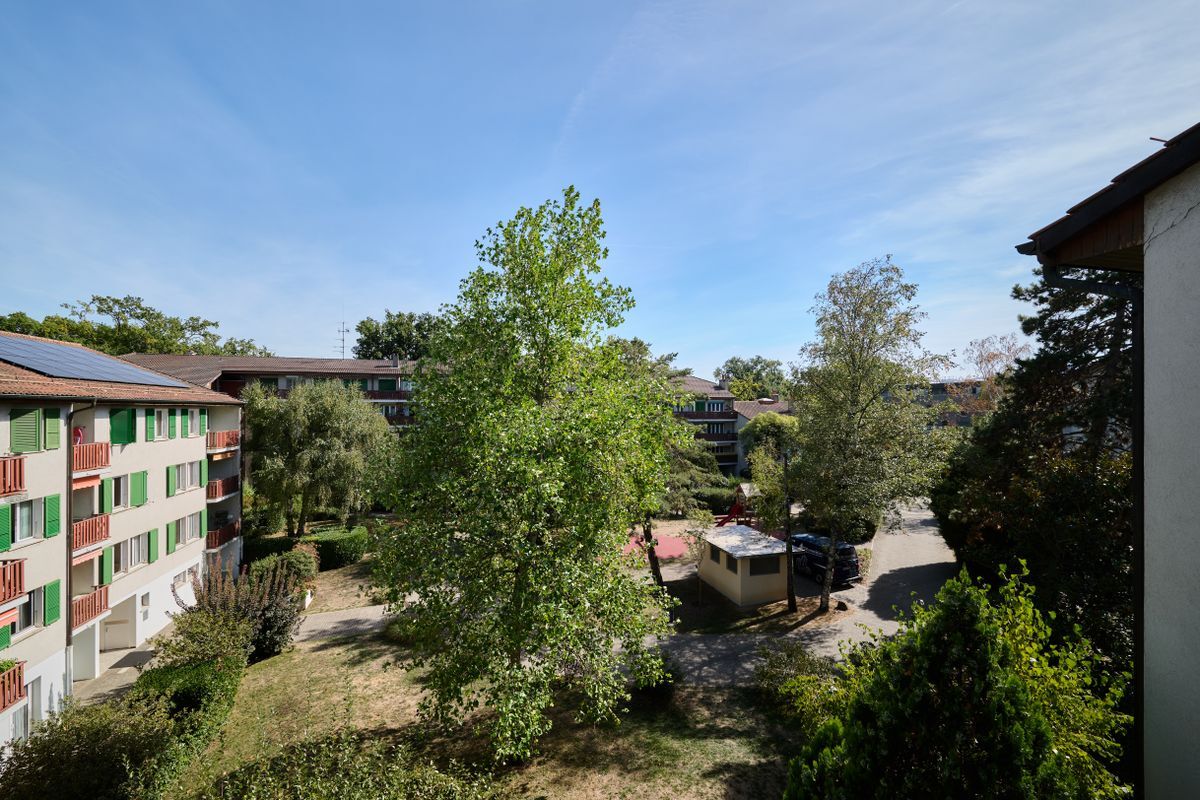 Foto 12