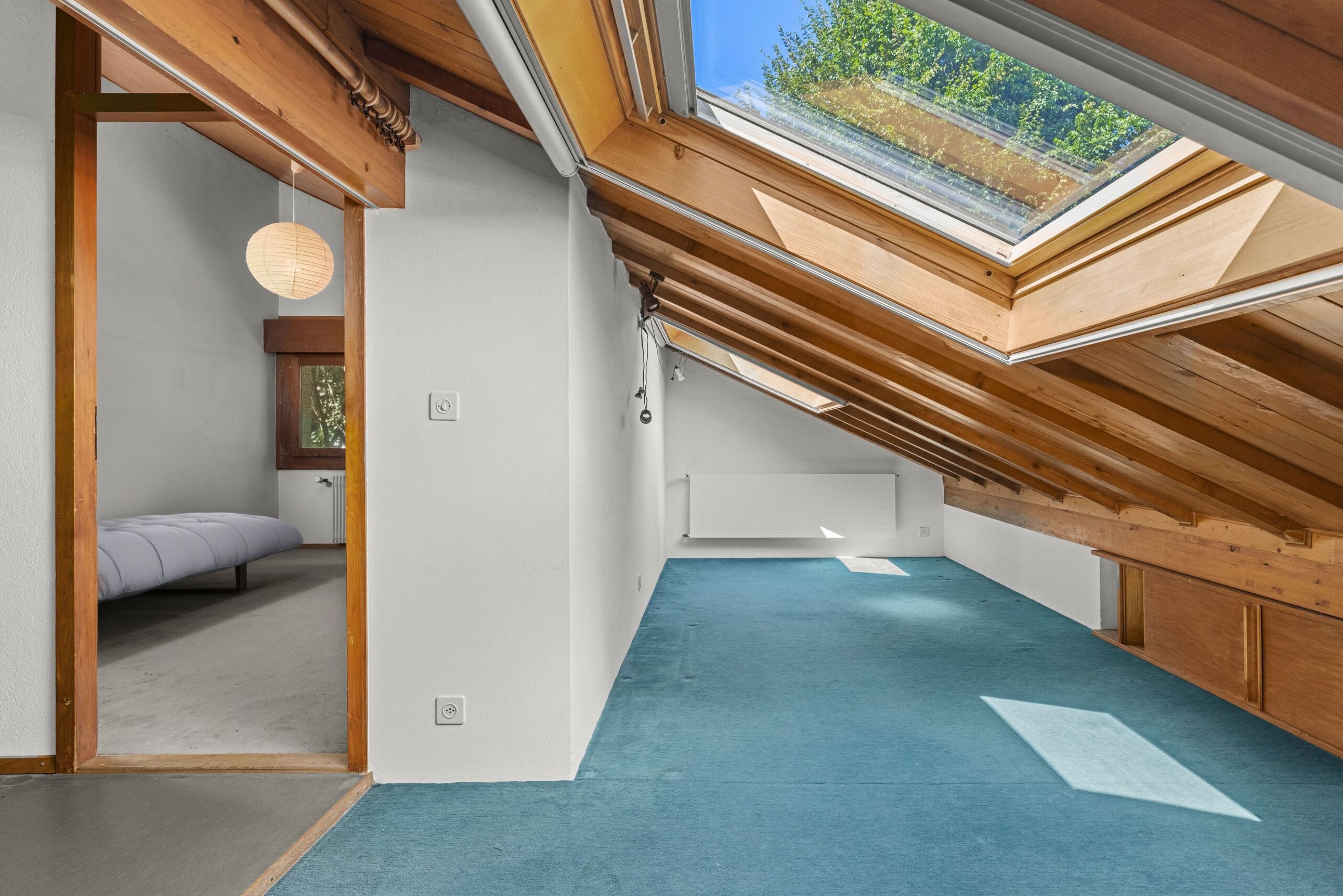 Espace de rangement avec vélux à l'étage