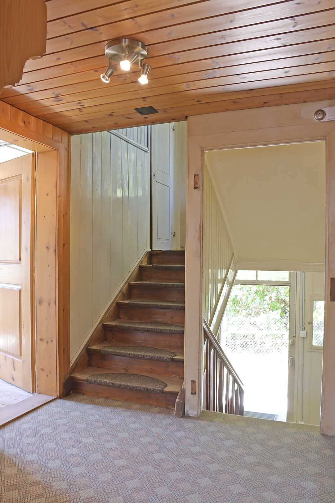 Picture 11