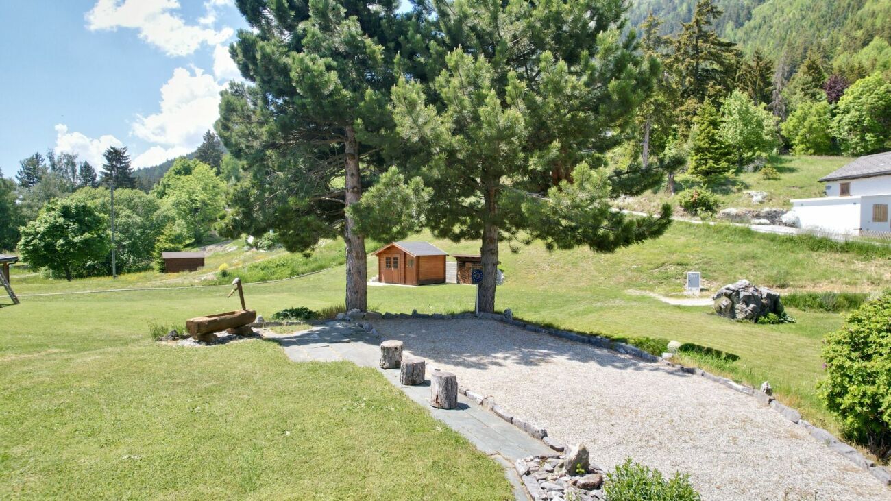 Picture 8