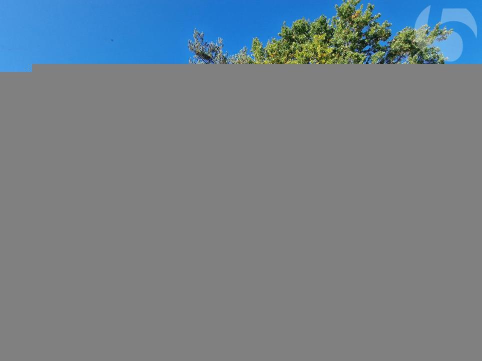 Premier coup d'oeil 1