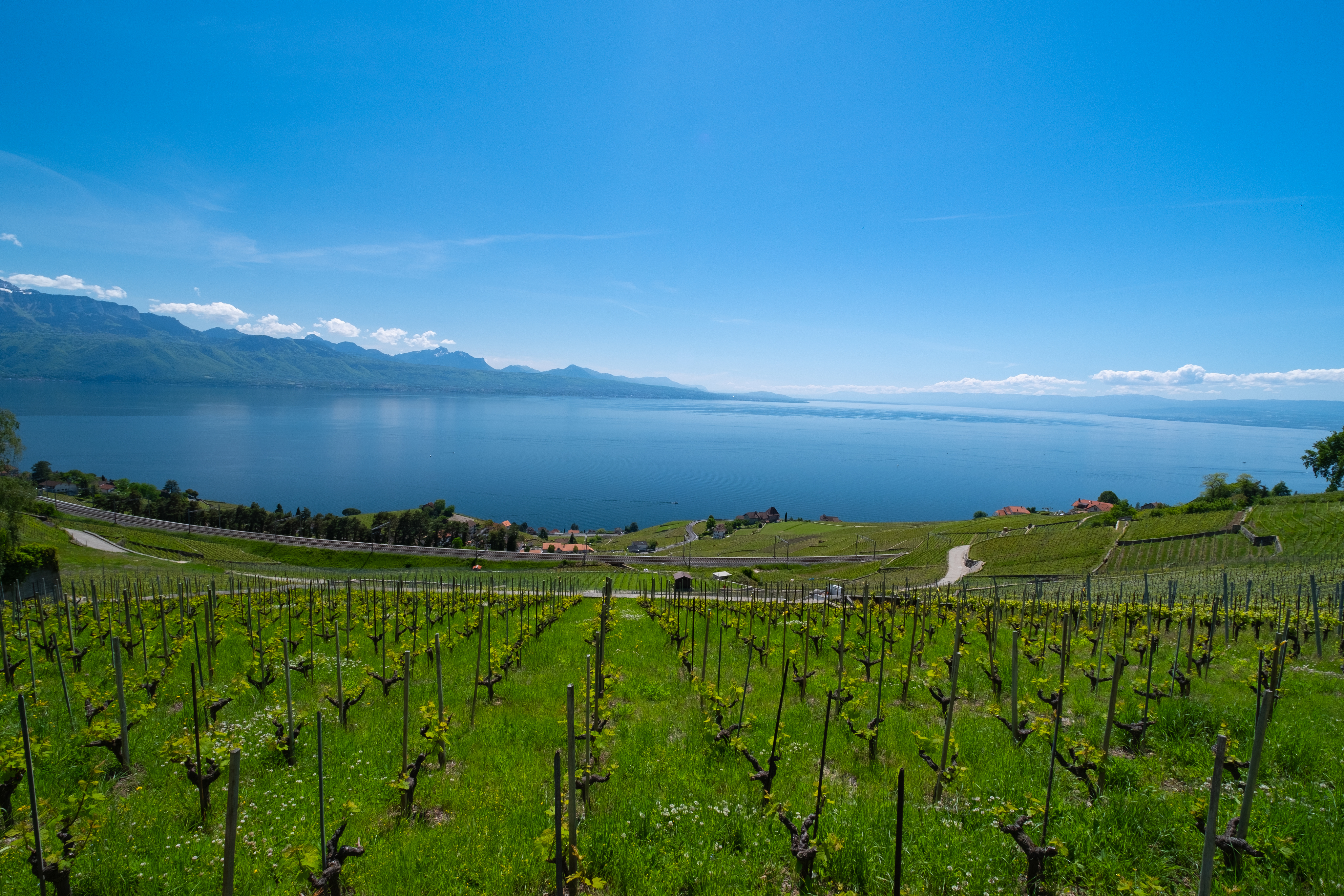 Projet immobilier à Grandvaux, panorama du Lavaux