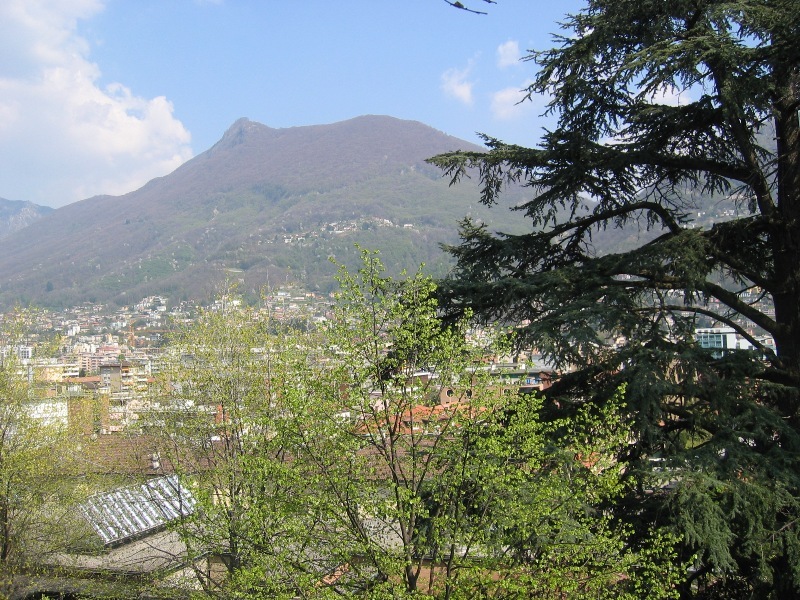 Picture 7