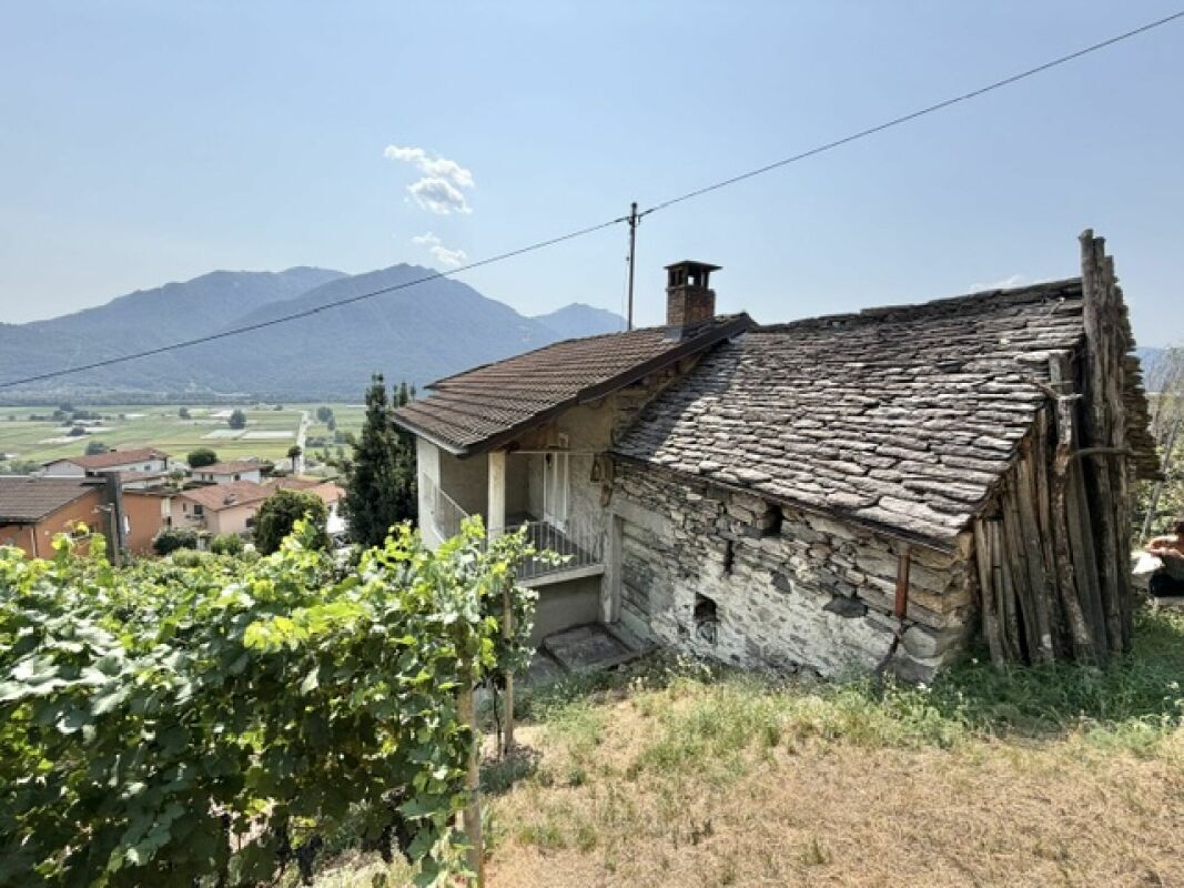 Photo 4