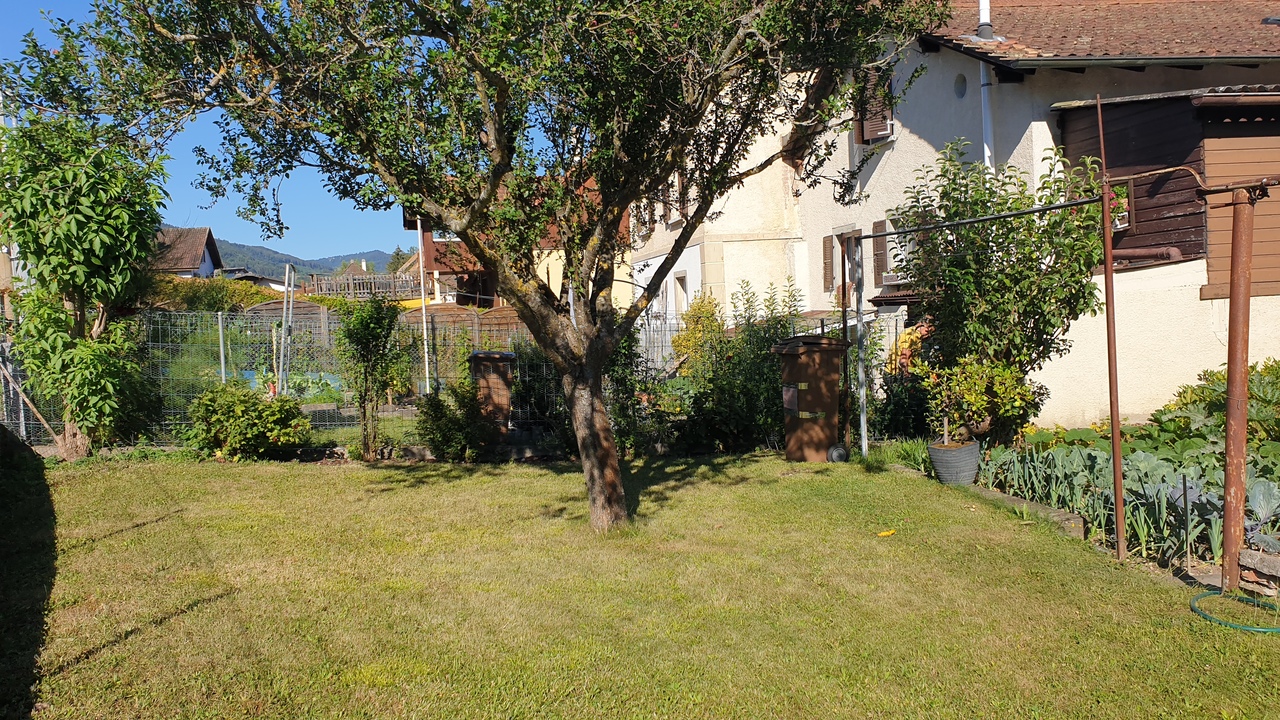 Photo 7