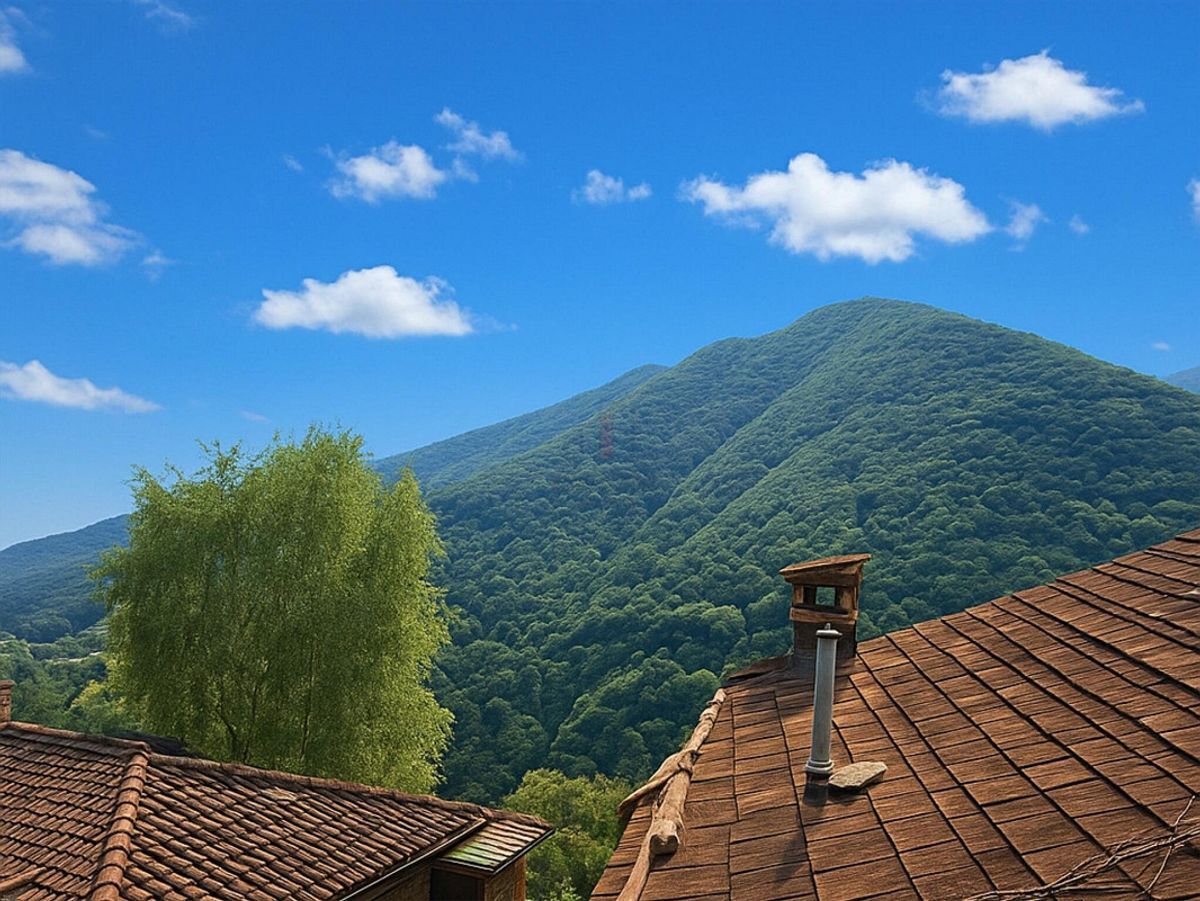 Immagine di copertina