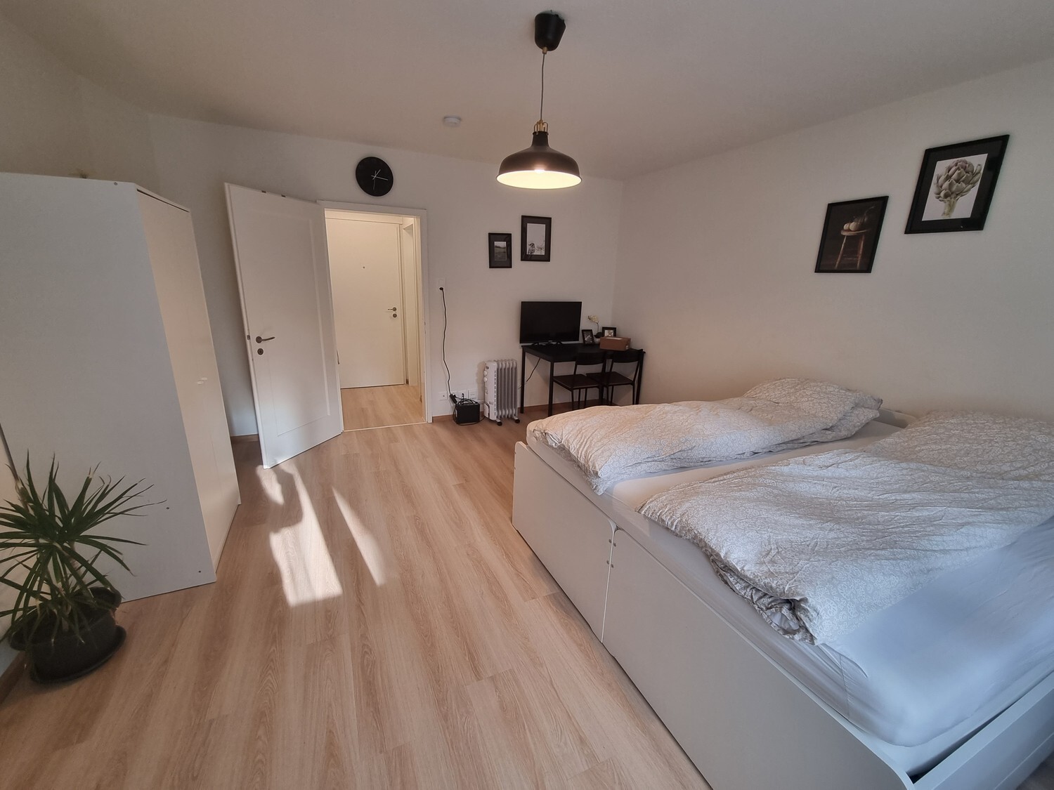 Photo 8