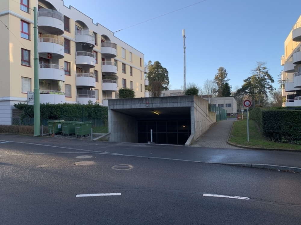 Firstview