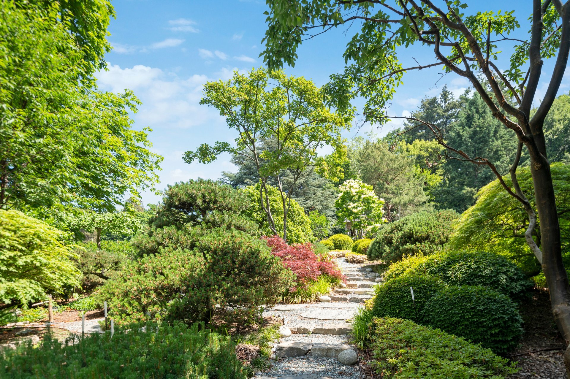 Passage accès jardin