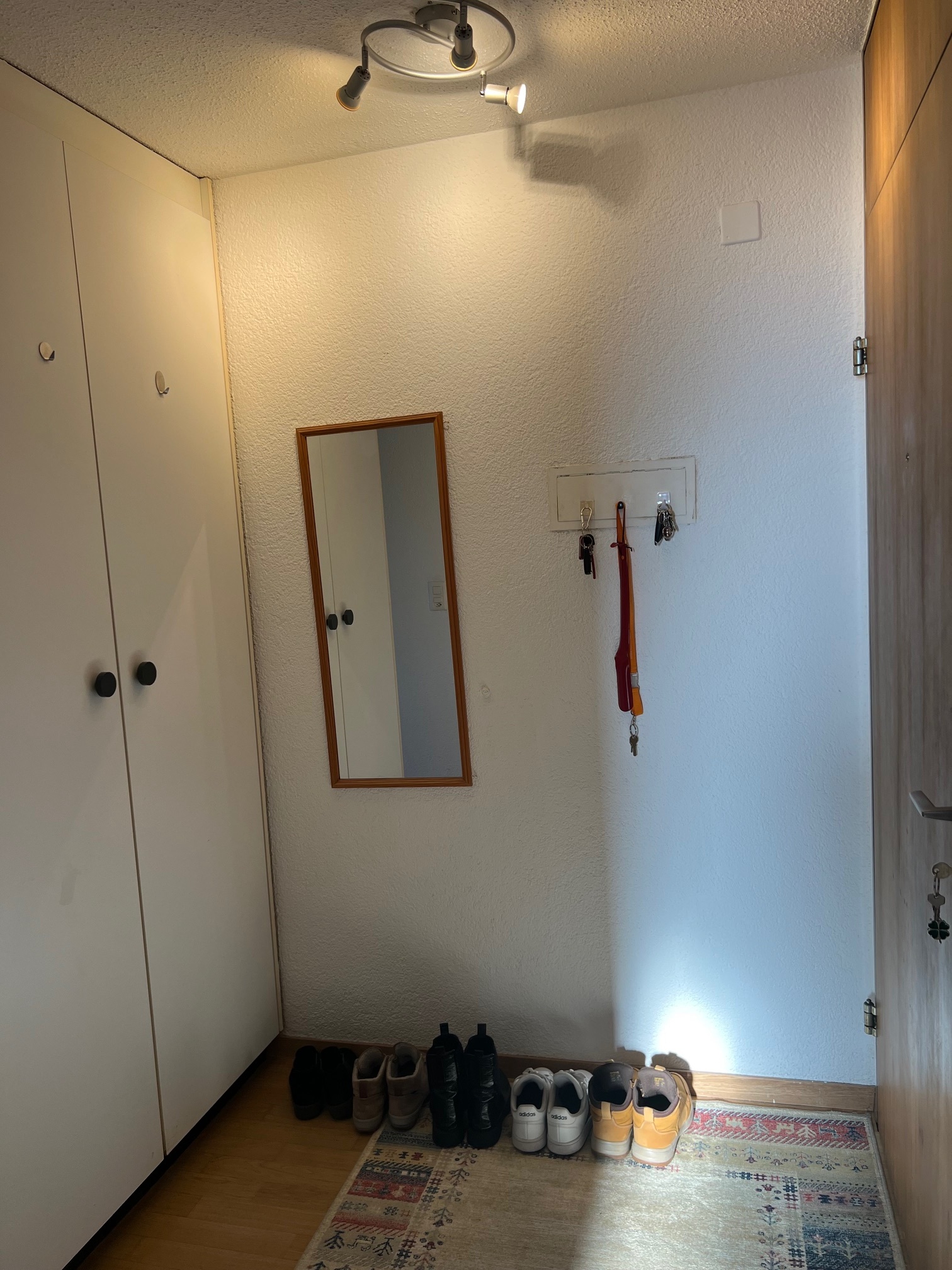 Eingang mit Einbauschrank Eingang mit Einbauschrank