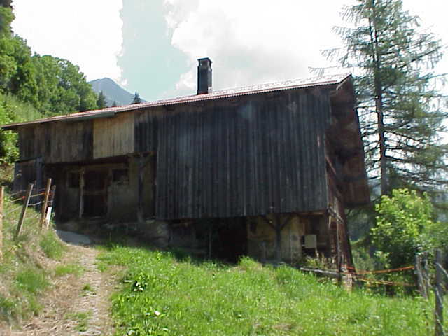 Photo 5