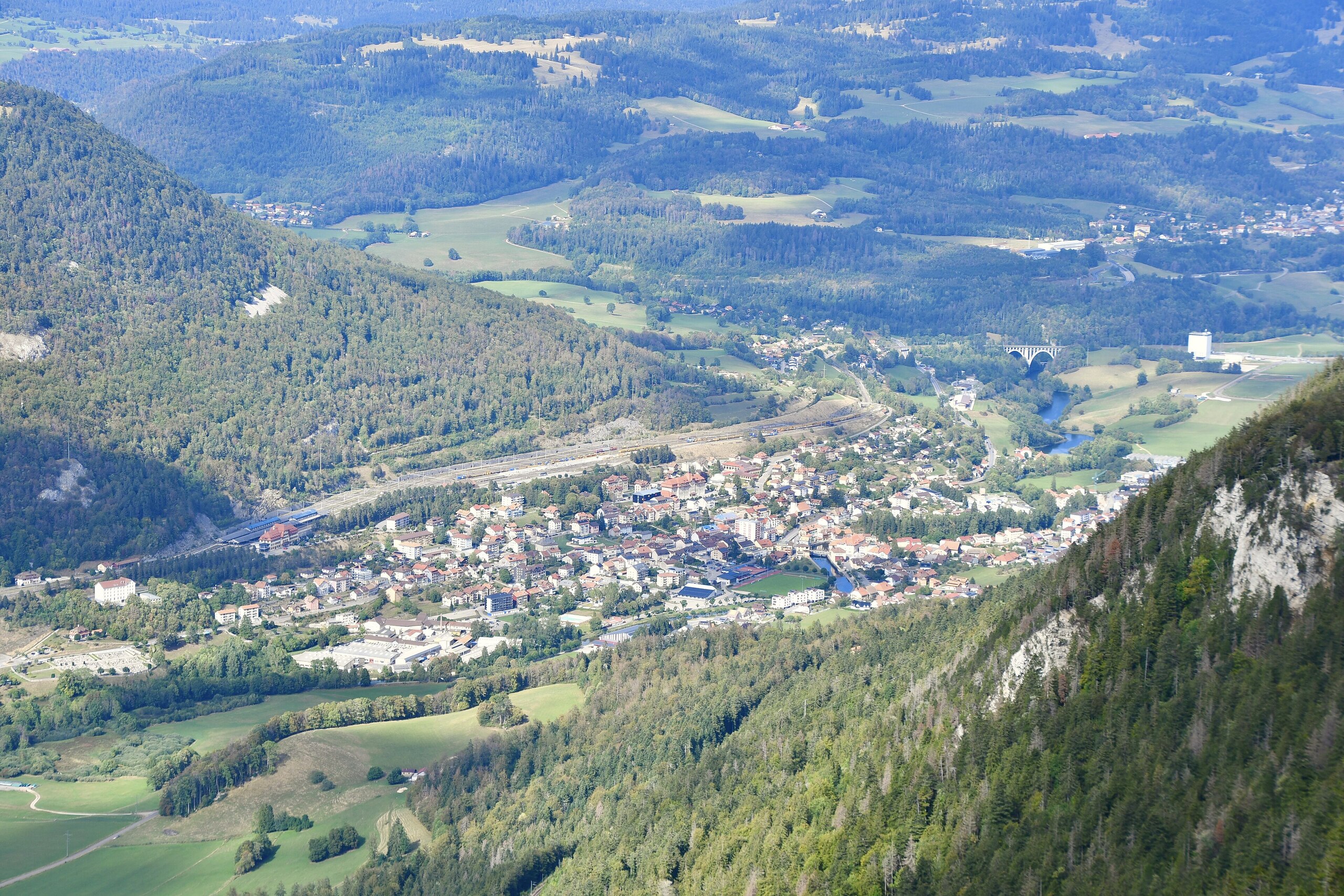 Piantina